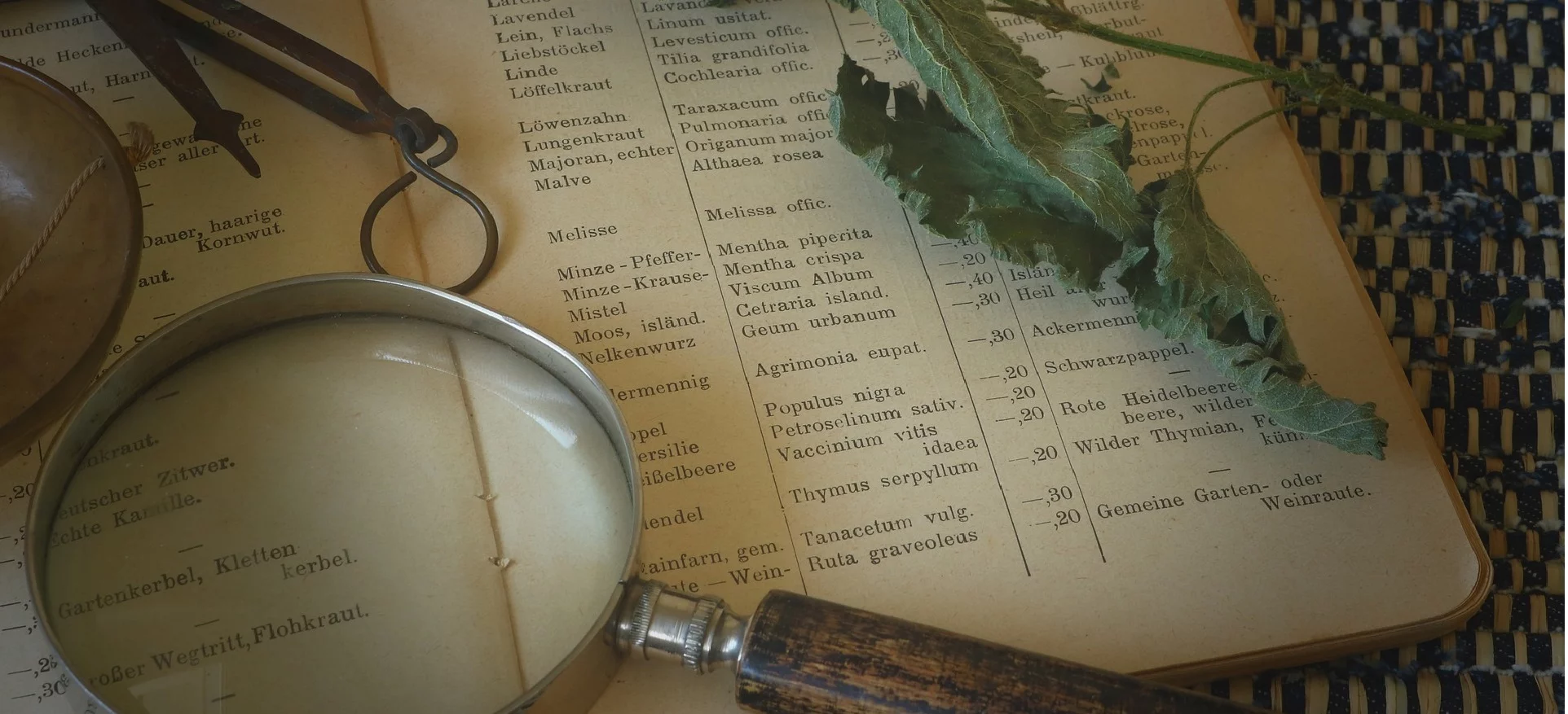 Association Suisse des Naturopathes avec Diplôme Fédéral